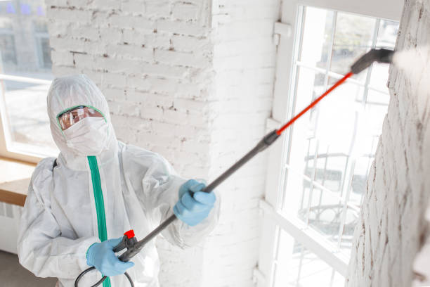 Best Mold Odor Removal Services  in Maiden, NC