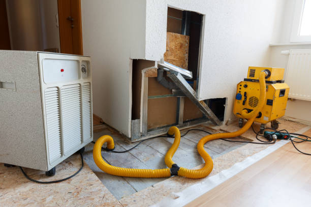 Mold Remediation for Rental Properties in Maiden, NC